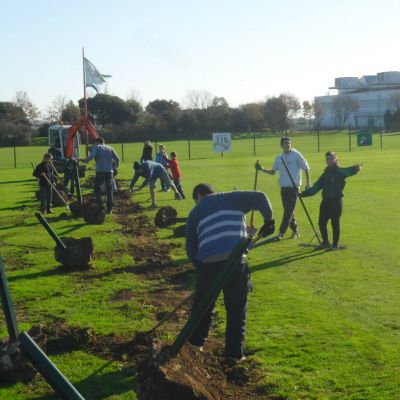 Travaux 2015