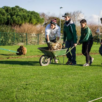 Travaux 2015 Terrain des Boucaniers