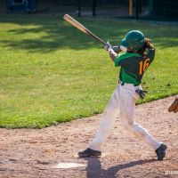 Equipe baseball 2014