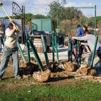 Travaux 2015 Terrain des Boucaniers
