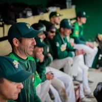 Match de baseball 2016
