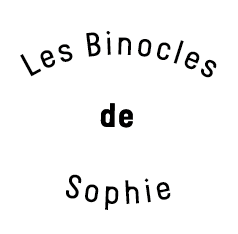 Logo Binocles de Sophie